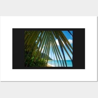 Hidden Tropical Island Beach Posters and Art